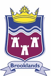 Logo for Brooklands Primary School Dundonald Belfast