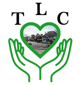 Logo for The Little Commoners