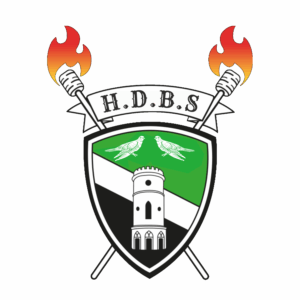 Logo for Heathfield & District Bonfire Society